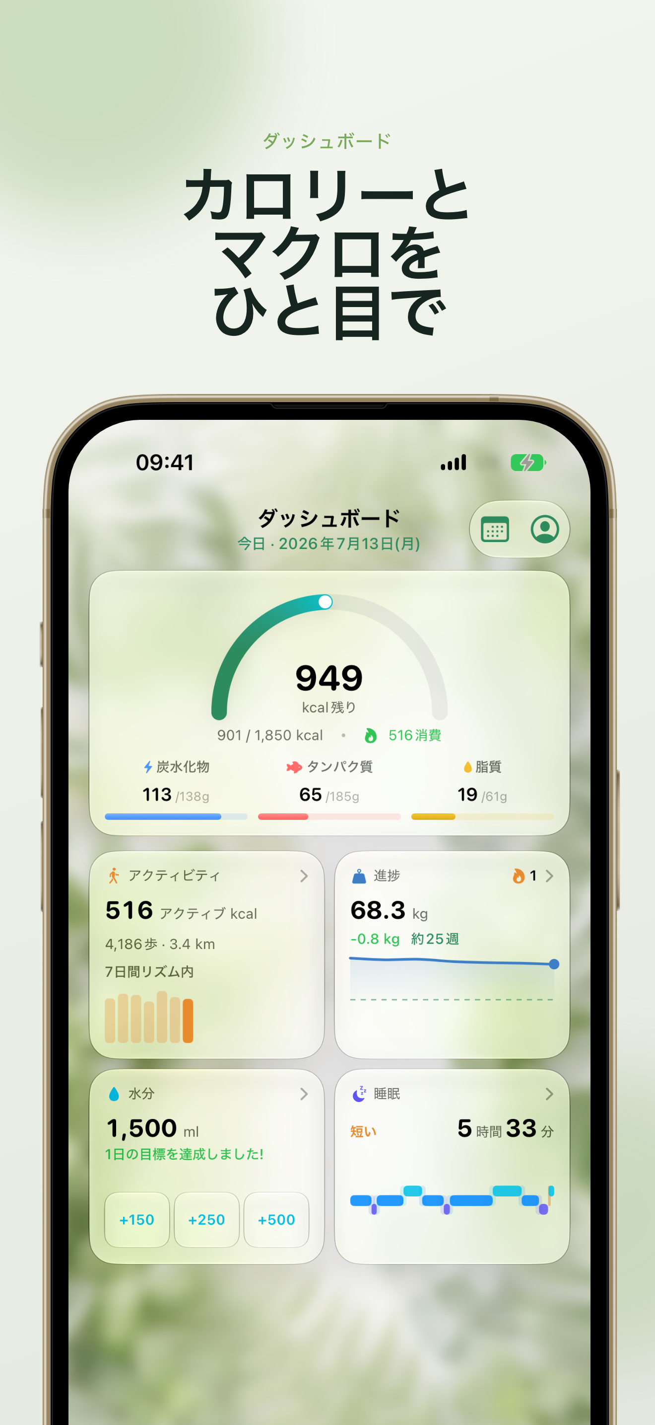 ダッシュボード